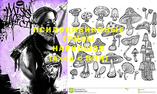 прущая мука Абинск