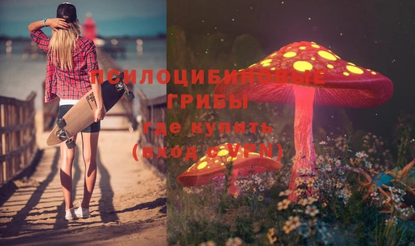 прущая мука Абинск