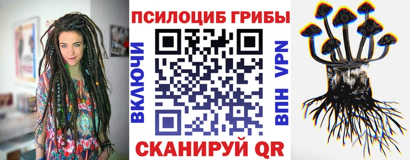 Псилоцибиновые грибы Psilocybine cubensis Тотьма